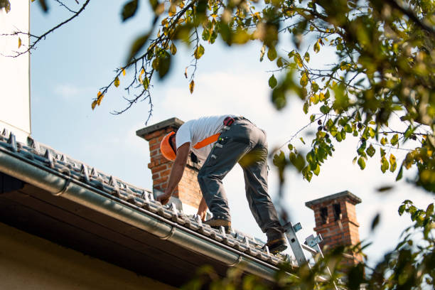 Best New Roof Installation  in New Paleste, IN