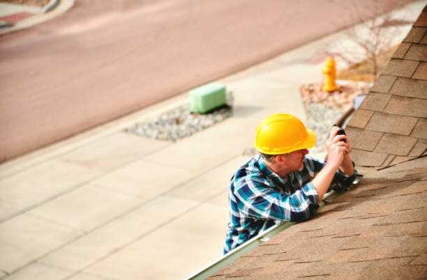 Best Metal Roofing Contractor  in New Paleste, IN