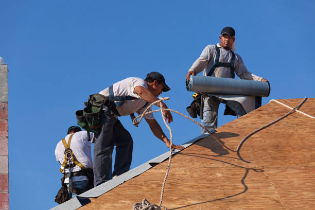 Best Roof Maintenance Services  in New Paleste, IN