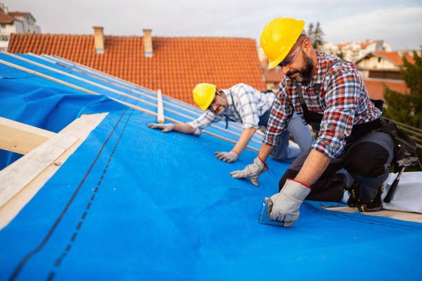 Best Local Roofing Companies  in New Paleste, IN