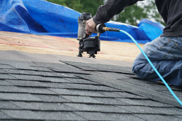 Best Roofing Contractor Near Me  in New Paleste, IN