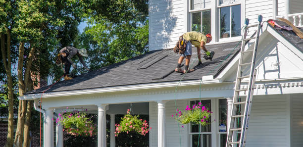 Best Flat Roof Repair Services  in New Paleste, IN